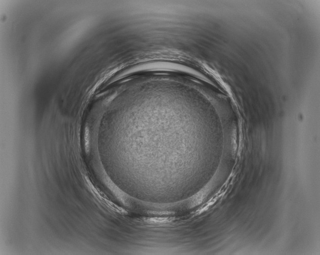 X0000087600154200704271341