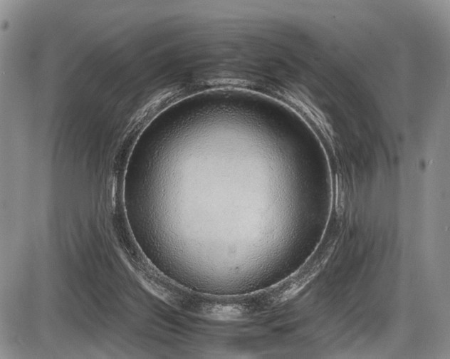 X0000087600157200704271341