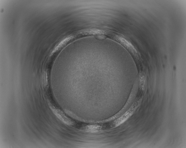 X0000087600158200704271341