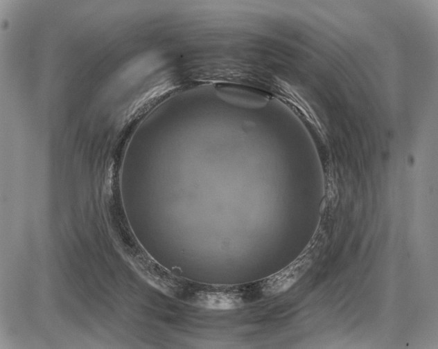 X0000087600163200704271341