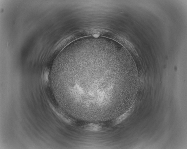 X0000087600166200704271341