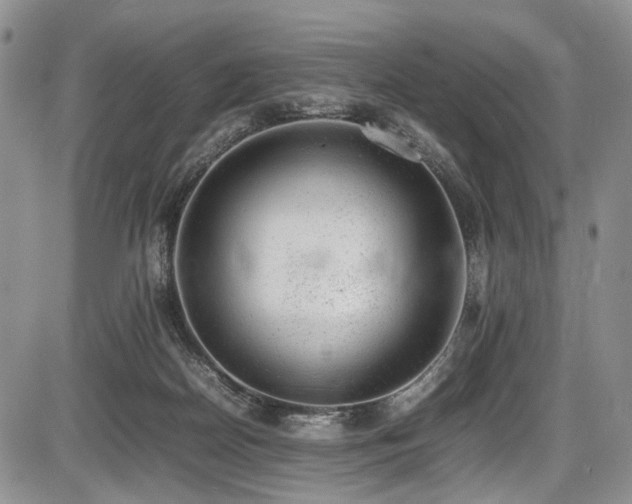 X0000087600170200704271341