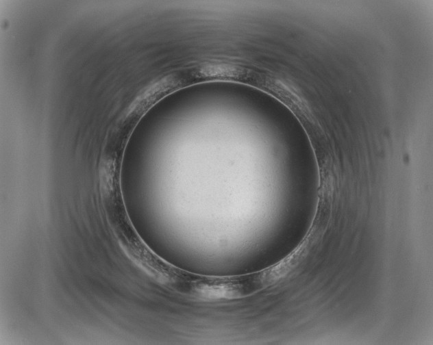 X0000087600171200704271341