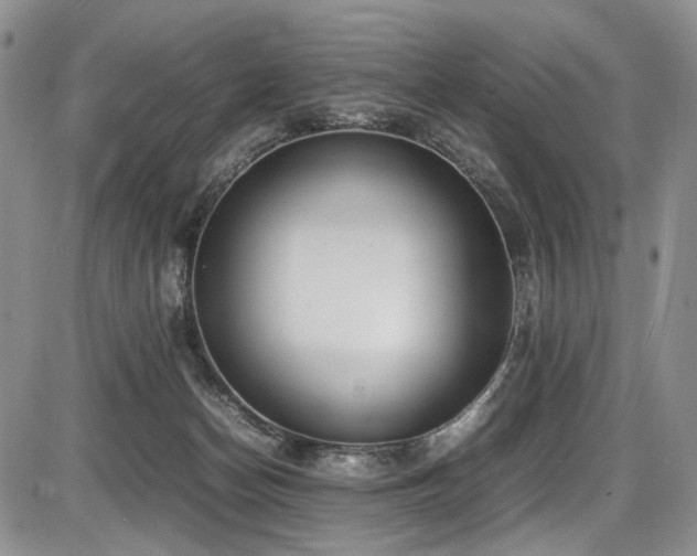 X0000087600174200704271341