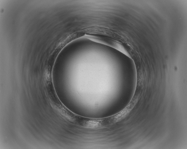 X0000087600176200704271341