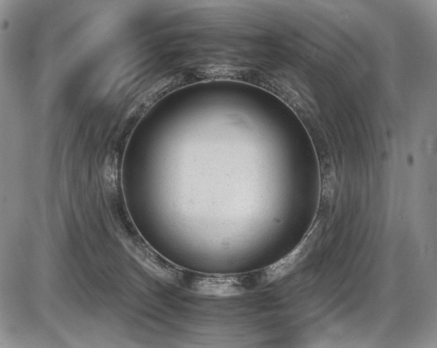 X0000087600179200704271341