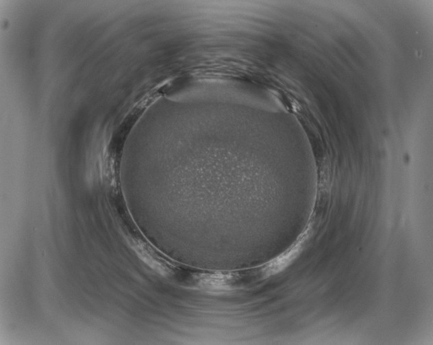 X0000087600182200704271341