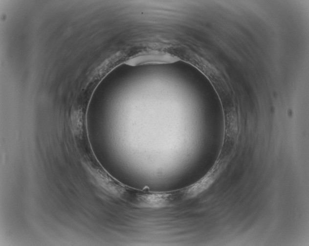 X0000087600184200704271341