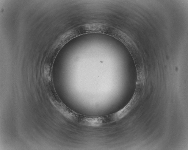 X0000087600187200704271341