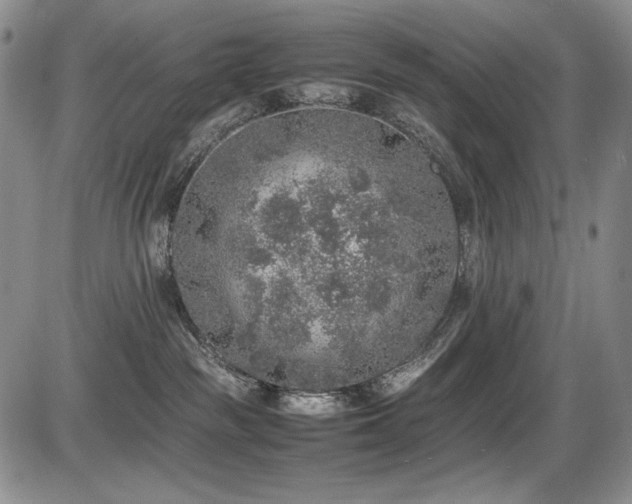 X0000087600189200704271341