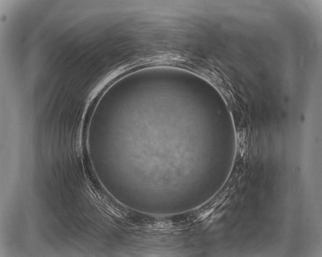 X0000087600196200704271341
