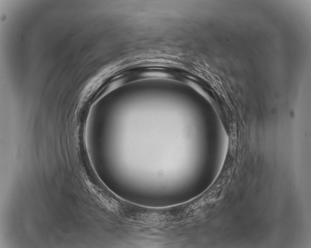 X0000087600197200704271341