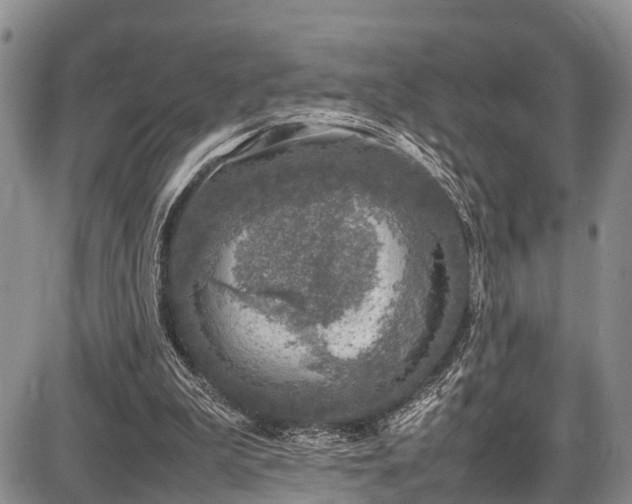 X0000087600199200704271341