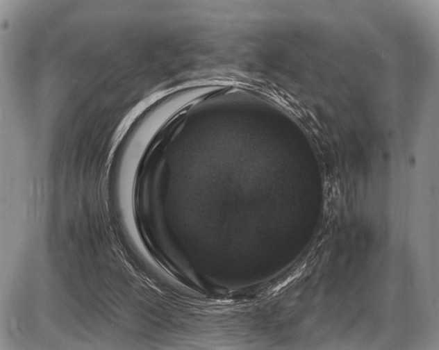 X0000087600200200704271341