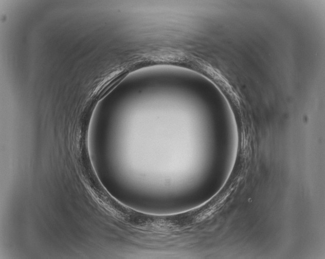 X0000087600201200704271341