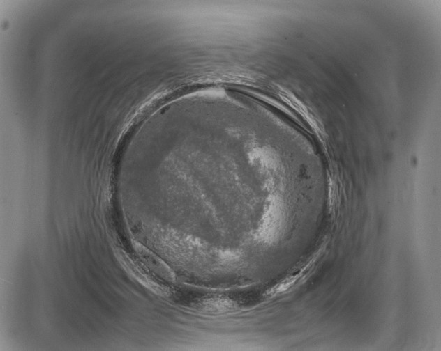 X0000087600203200704271341