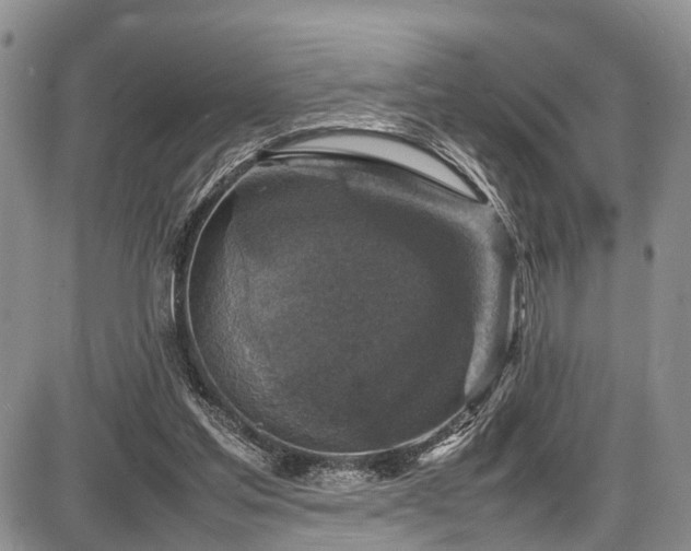 X0000087600205200704271340
