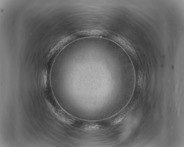 X0000087600206200704271340