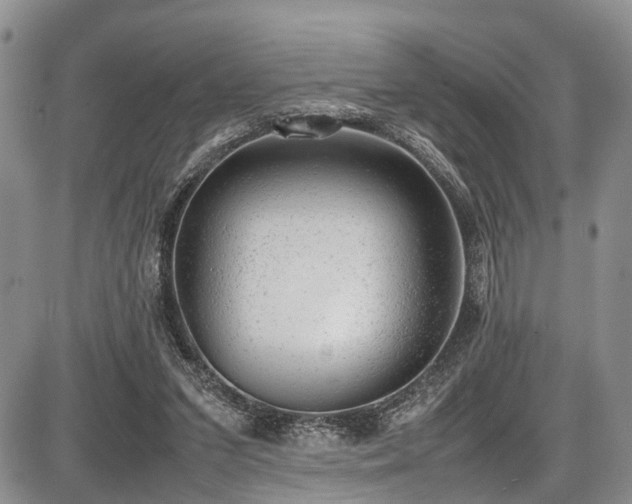 X0000087600207200704271340