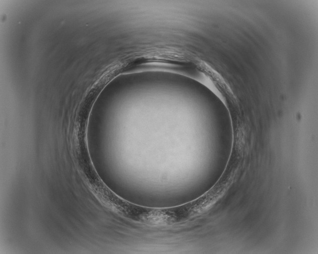 X0000087600209200704271340