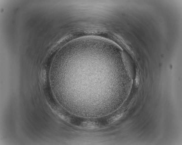 X0000087600211200704271340
