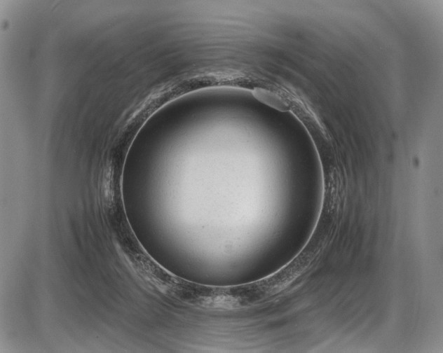 X0000087600212200704271340