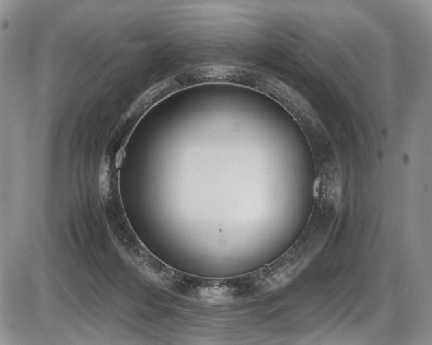 X0000087600216200704271340