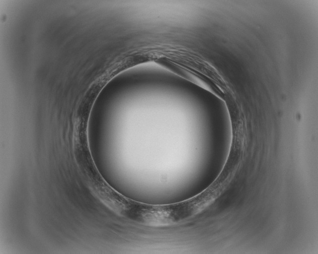 X0000087600217200704271340