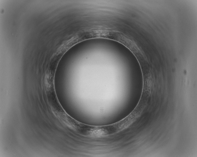 X0000087600218200704271340