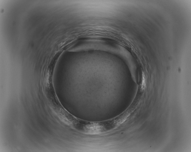X0000087600219200704271340