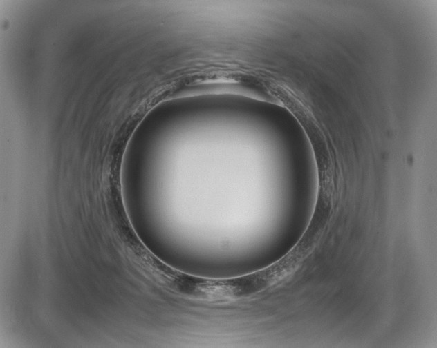 X0000087600221200704271340