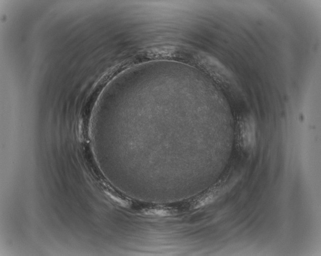 X0000087600224200704271340
