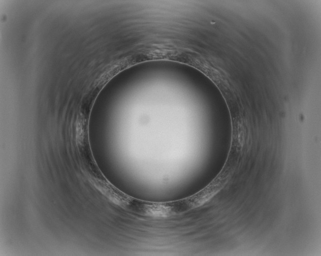 X0000087600226200704271340