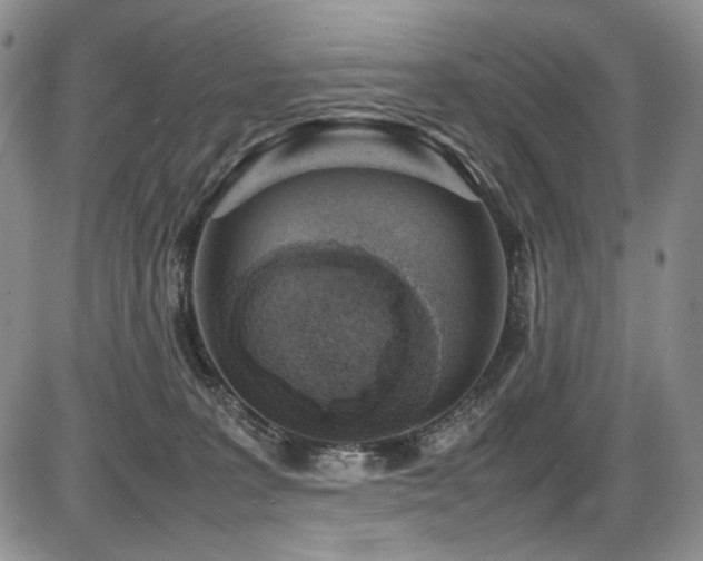 X0000087600227200704271340