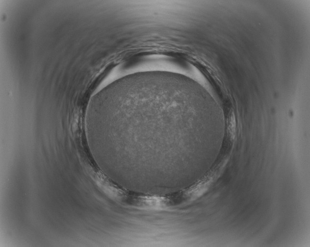 X0000087600233200704271340