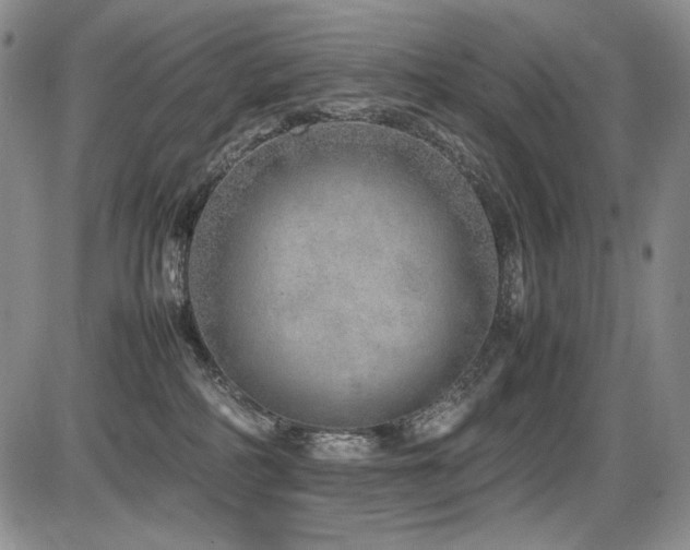 X0000087600234200704271340