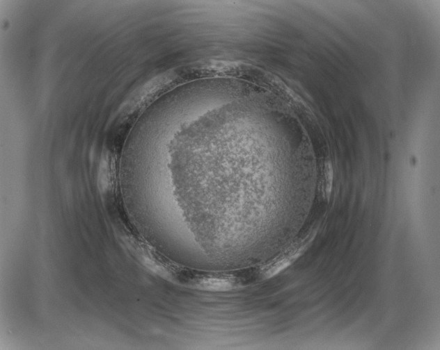 X0000087600236200704271340