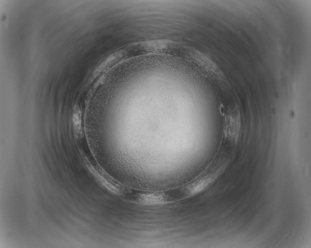 X0000087600238200704271340