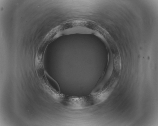 X0000087600239200704271340