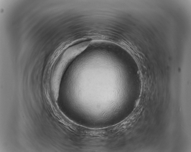 X0000087600241200704271339