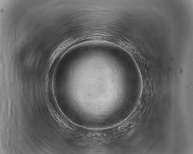 X0000087600242200704271339