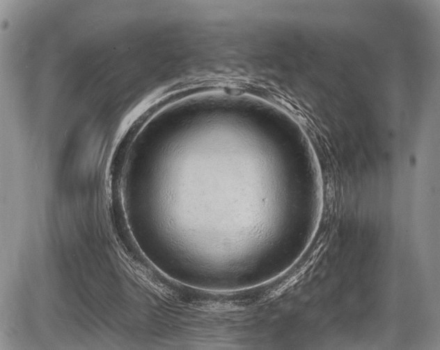 X0000087600246200704271339
