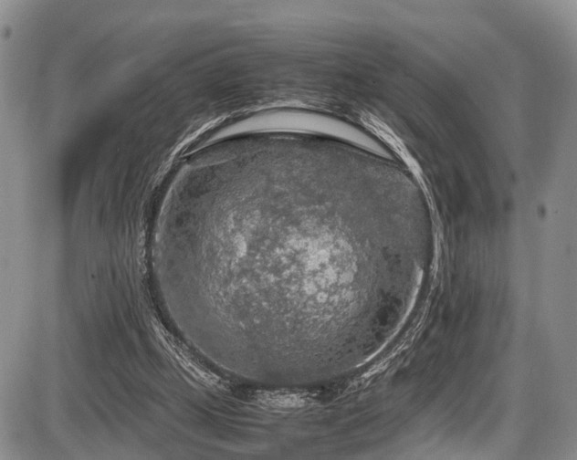 X0000087600249200704271339
