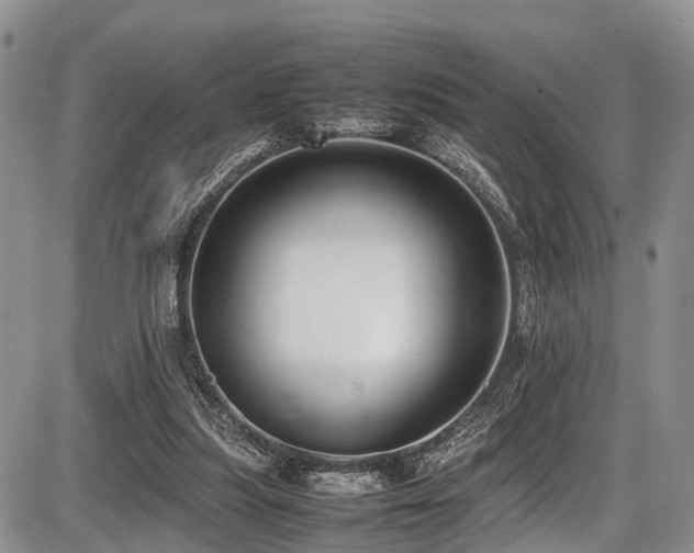 X0000087600251200704271339