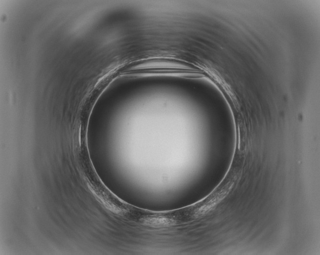 X0000087600253200704271339