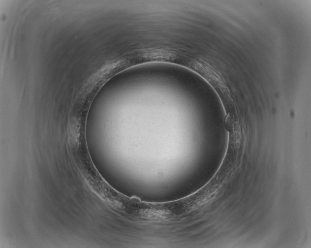 X0000087600255200704271339