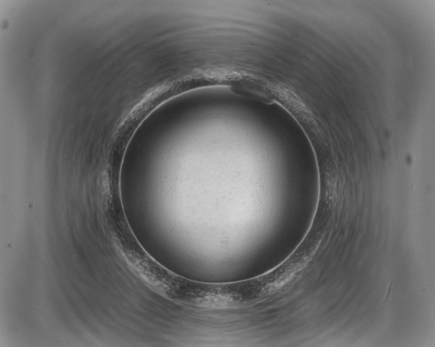 X0000087600256200704271339