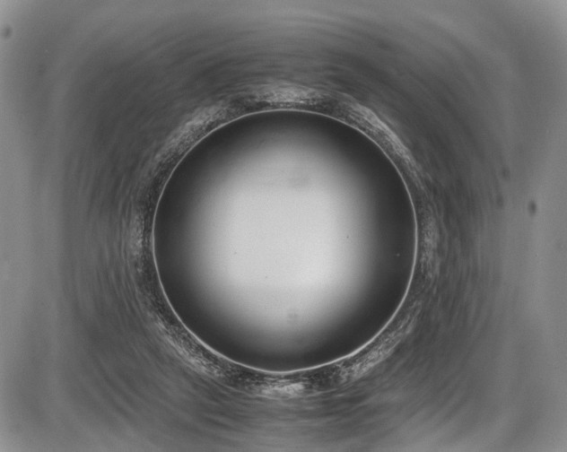 X0000087600257200704271339