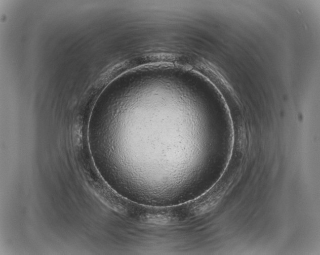 X0000087600259200704271339