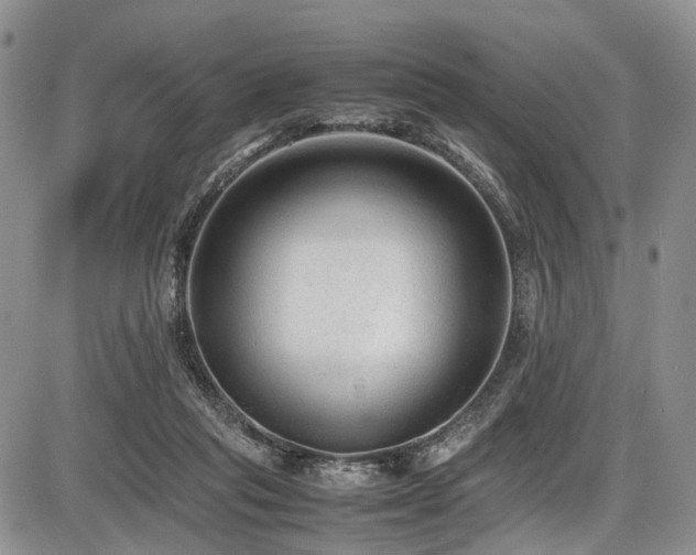 X0000087600261200704271339